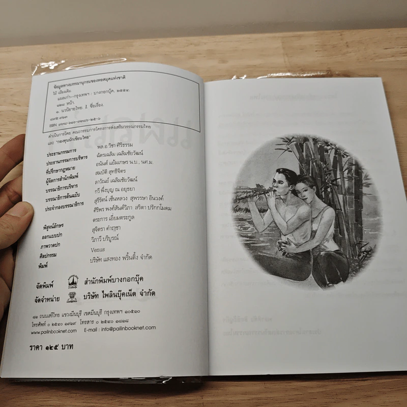 แผลเก่า - ไม้ เมืองเดิม รูปที่ 6