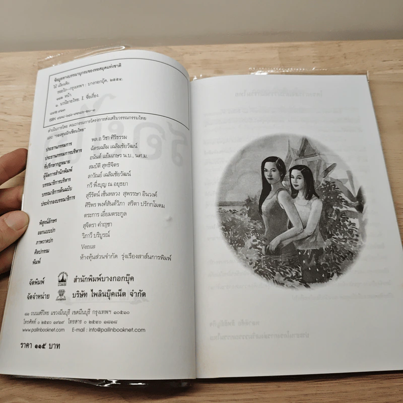 รอยไถ - ไม้ เมืองเดิม รูปที่ 6