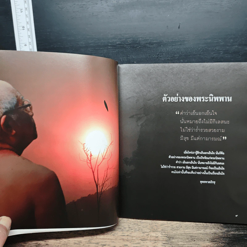 ธัมมะ อกาลิโก I ธรรม ไม่จำกัดกาล - พุทธทาสภิกขุ, ท่านปัญญานันทภิกขุ รูปที่ 8