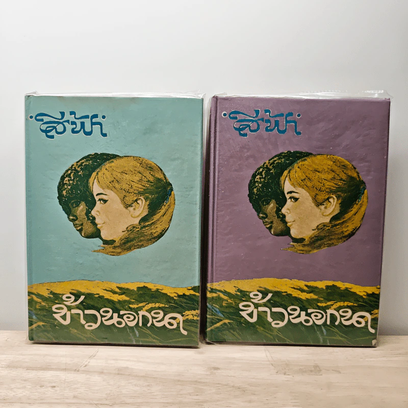 ข้าวนอกนา 2 เล่มจบ - สีฟ้า รูปที่ 1