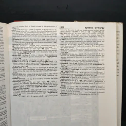 Webster's New World College Dictionary รูปที่ 10