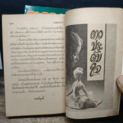 ละอองดาว 2 เล่มจบ - พนมเทียน รูปที่ 9