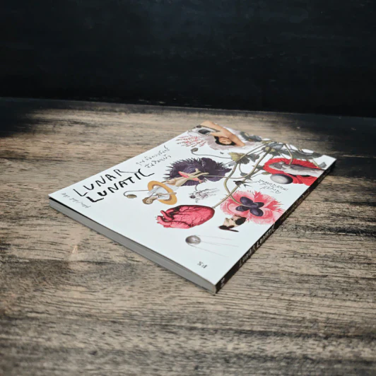Lunar Lunatic คุณคือดวงจันทร์ ฉันสิคนบ้า - ฉัตรรวี เสนธนิสศักดิ์ รูปที่ 5