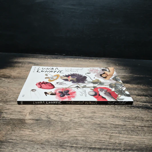 Lunar Lunatic คุณคือดวงจันทร์ ฉันสิคนบ้า - ฉัตรรวี เสนธนิสศักดิ์ รูปที่ 3