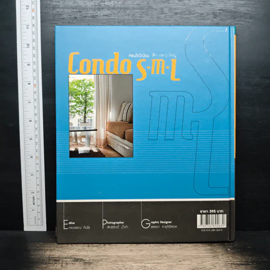 Condo S-M-L คอนโดมิเนียม เล็ก-กลาง-ใหญ่ รูปที่ 2