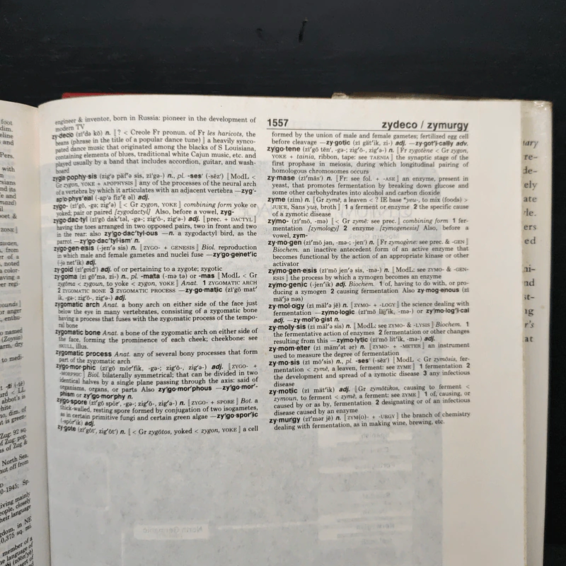 Webster's New World College Dictionary รูปที่ 10