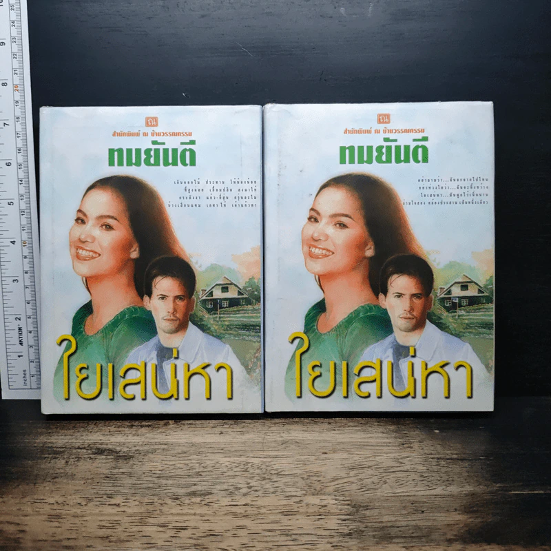 ใยเสน่หา 2 เล่มจบ - ทมยันตี รูปที่ 1