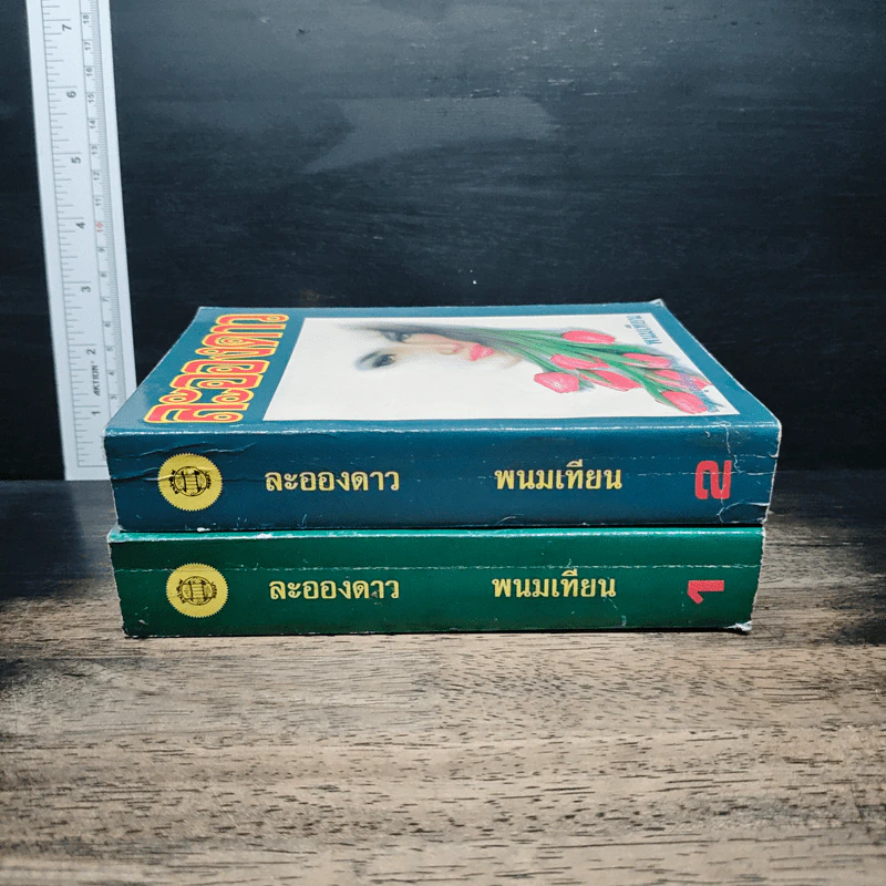 ละอองดาว 2 เล่มจบ - พนมเทียน รูปที่ 3