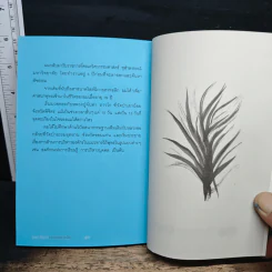 จุดตะเกียงดีกว่าด่าความมืด - ดร.วรภัทร์ ภู่เจริญ รูปที่ 9
