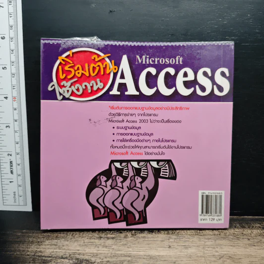 เริ่มต้นใช้งาน Microsoft Access 2003 รูปที่ 2