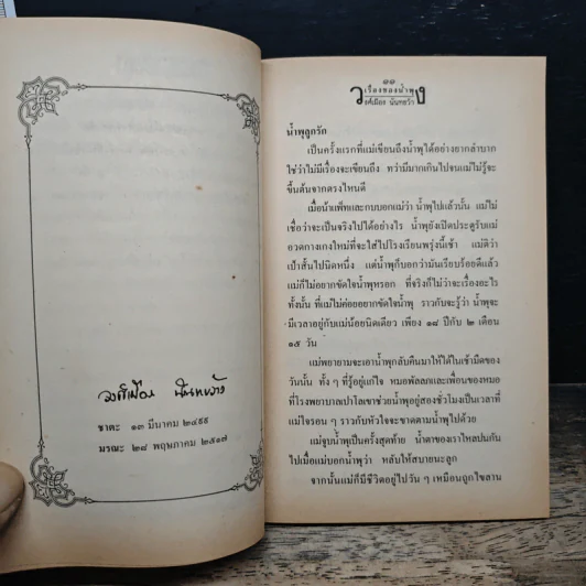 เรื่องของน้ำพุ - วงศ์เมือง นันทขว้าง รูปที่ 7