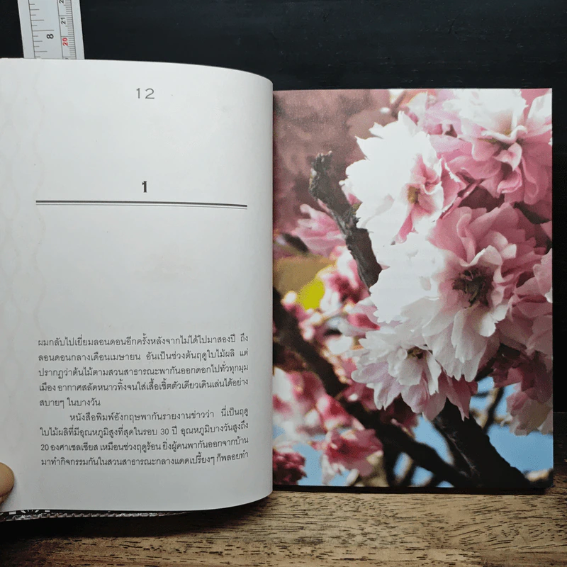 30 วัน เล่ม 3 - ภิญโญ ไตรสุริยธรรมา รูปที่ 7