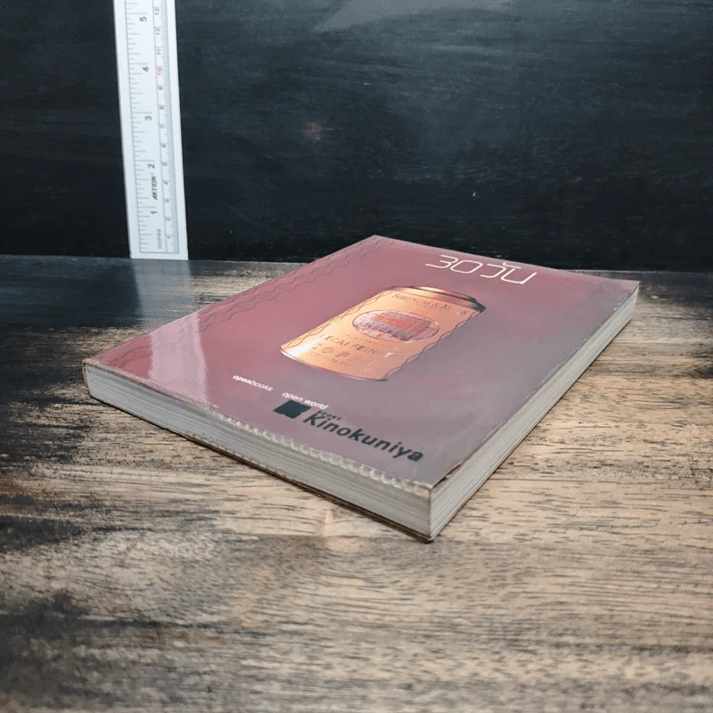 30 วัน เล่ม 3 - ภิญโญ ไตรสุริยธรรมา รูปที่ 4
