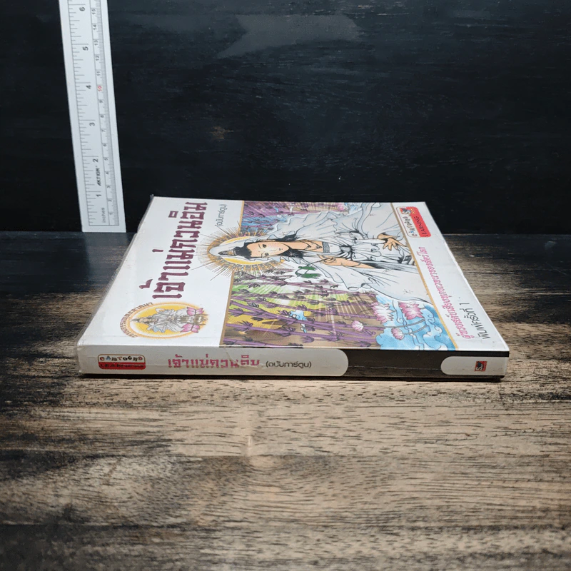เจ้าแม่กวนอิม (ฉบับการ์ตูน) รูปที่ 3