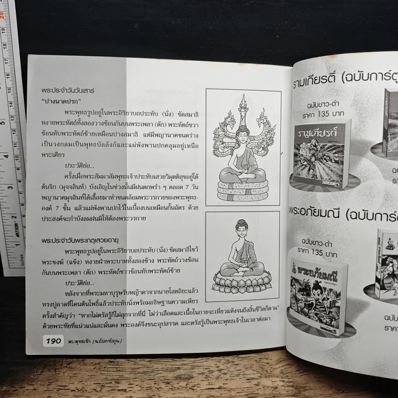 พระพุทธเจ้า (ฉบับการ์ตูน) รูปที่ 10