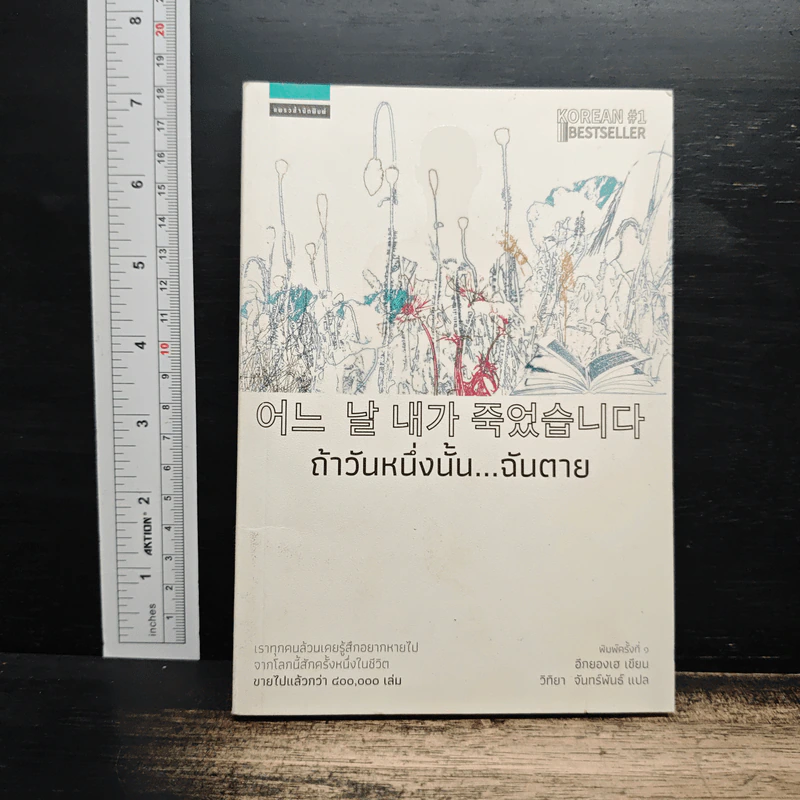 ถ้าวันหนึ่งนั้น ฉันตาย - อีกยองเฮ รูปที่ 1