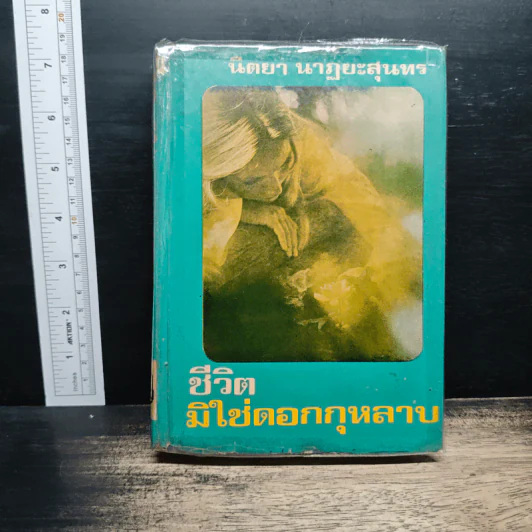 ชีวิตมิใช่ดอกกุหลาบ - นิตยา นาฎยะสุนทร รูปที่ 1