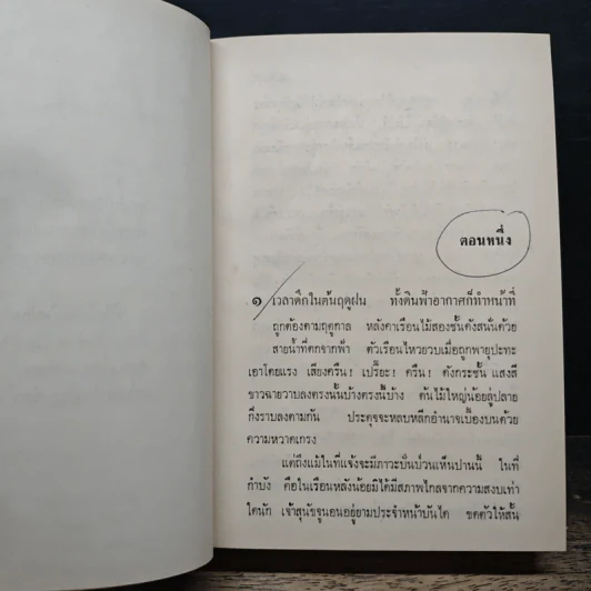 อุบัติเหตุ - ดอกไม้สด รูปที่ 6