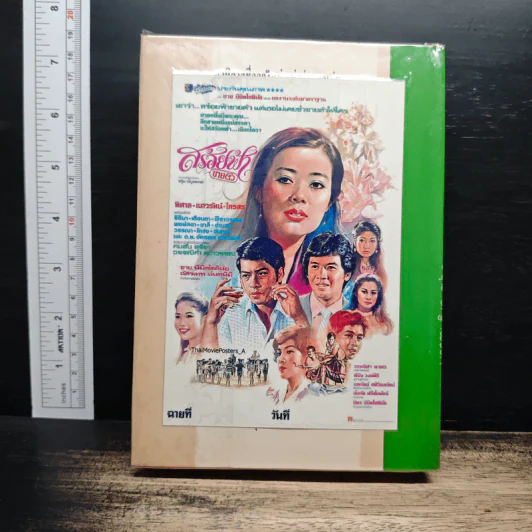 สร้อยฟ้าขายตัว - ชอุ่ม ปัญจพรรค์ รูปที่ 2