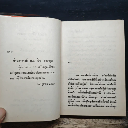 สร้อยฟ้าขายตัว - ชอุ่ม ปัญจพรรค์ รูปที่ 7