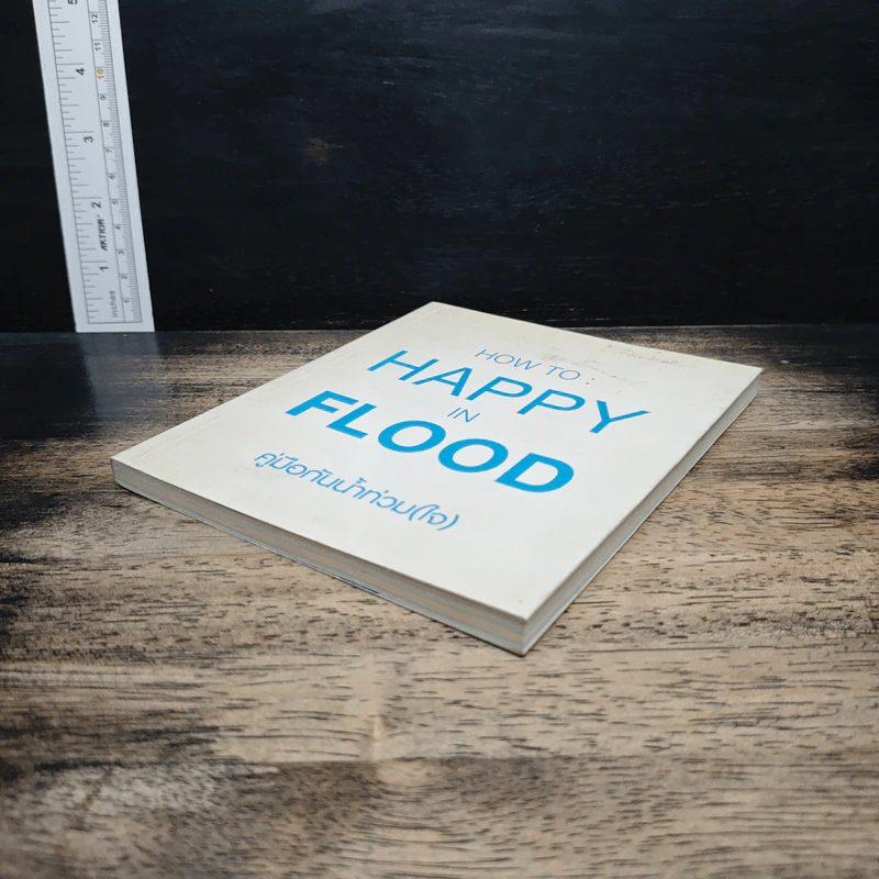 How To : More Than Flood คู่มือน้ำท่วม(ใจ) รูปที่ 4