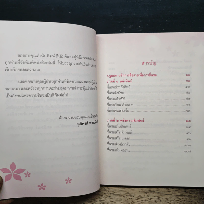 พลังการชื่นชม - วุฒิพงศ์ ถายะพิงค์ รูปที่ 7