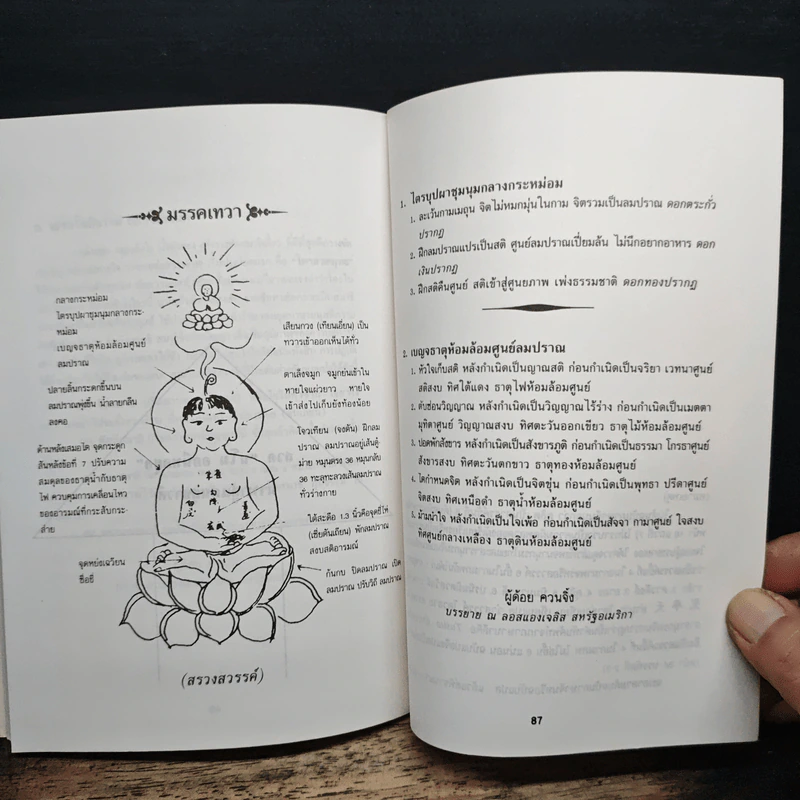 ท่องแดนสุขาวดี รูปที่ 8