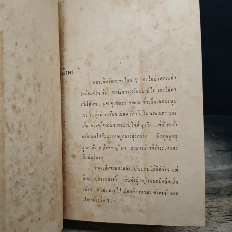 ลมหนาว - รพีพร รูปที่ 7