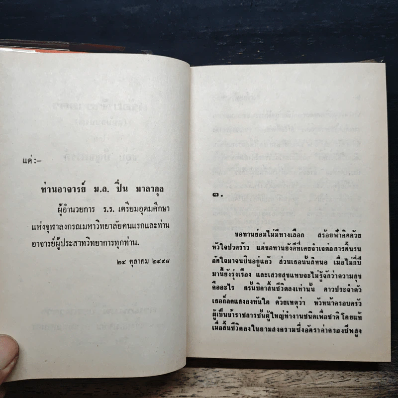 สร้อยฟ้าขายตัว - ชอุ่ม ปัญจพรรค์ รูปที่ 7