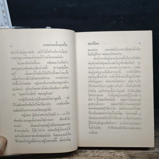 วรรณกรรมชิ้นสุดท้าย - ดอกไม้สด รูปที่ 8