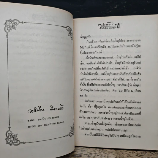 เรื่องของน้ำพุ - วงศ์เมือง นันทขว้าง รูปที่ 7