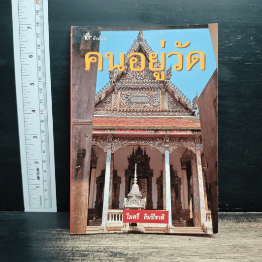 คนอยู่วัด - ไมตรี ลิมปิชาติ รูปที่ 1