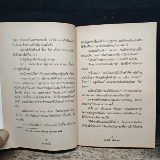 ชีวิตบ้านป่า - ประสิทธิ์ มุสิกเกษม รูปที่ 9