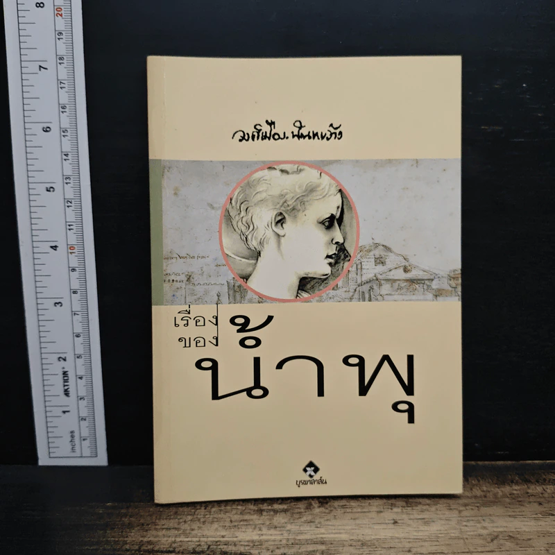 เรื่องของน้ำพุ - วงศ์เมือง นันทขว้าง รูปที่ 1