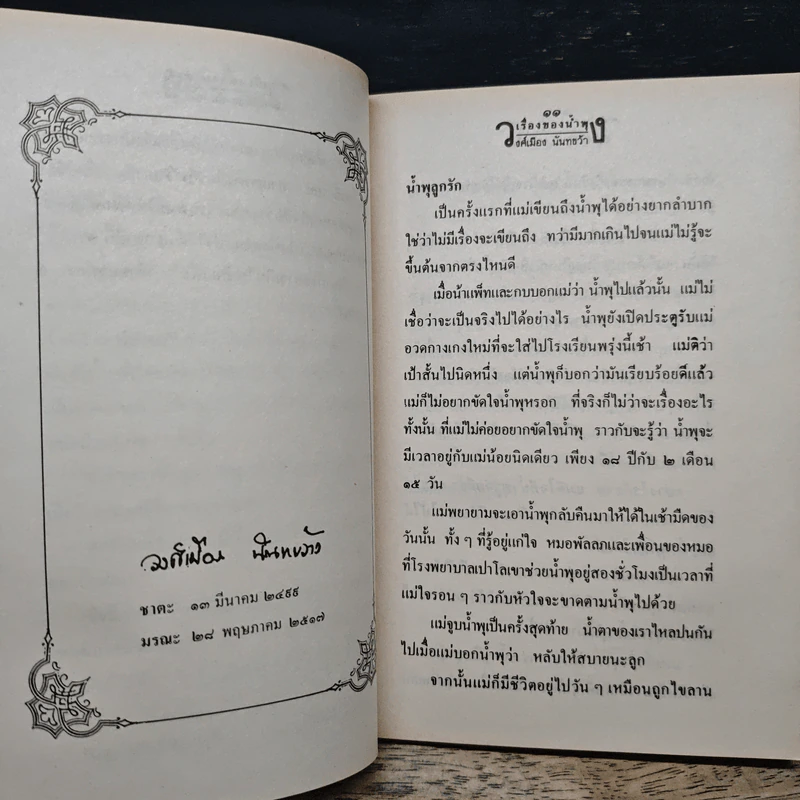 เรื่องของน้ำพุ - วงศ์เมือง นันทขว้าง รูปที่ 7
