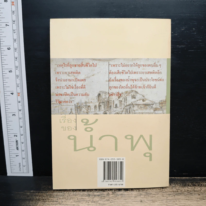 เรื่องของน้ำพุ - วงศ์เมือง นันทขว้าง รูปที่ 2