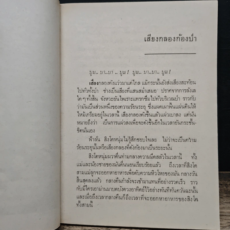 ตามล่า! ชีวิตการผจญภัยของสิงห์หนุ่ม - ลมุล รัตตากร รูปที่ 8