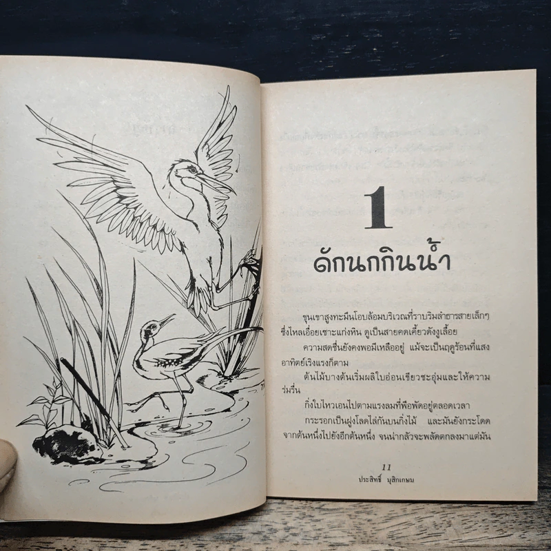 ชีวิตบ้านป่า - ประสิทธิ์ มุสิกเกษม รูปที่ 8