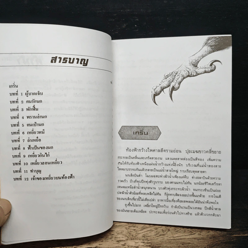 เหยี่ยวขาด้วน - ส.พุ่มสุวรรณ รูปที่ 8