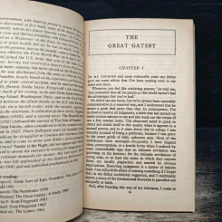 The Great Gatsby - F.Scott Fitzgerald รูปที่ 7
