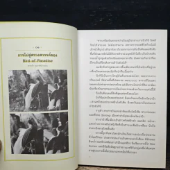 Wild Side ในนามของธรรมชาติ - วันชัย ตันติวิทยาพิทักษ์ รูปที่ 7