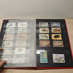 Stamp Album อัลบั้มสะสมแสตมป์ รูปที่ 15