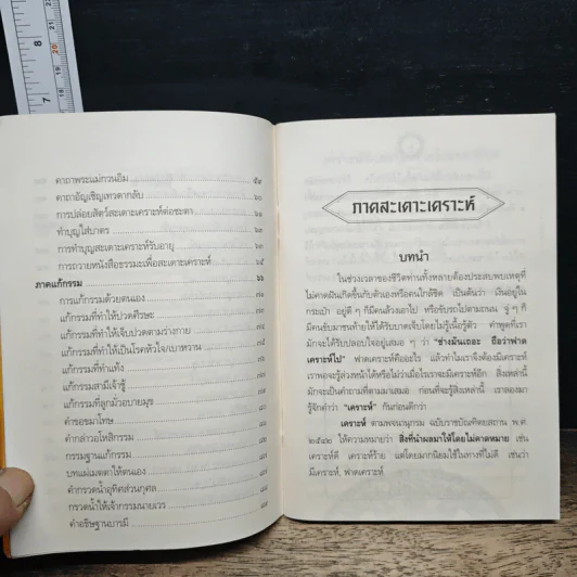 สวดมนต์สะเดาะเคราะห์แก้กรรม รูปที่ 8