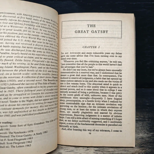 The Great Gatsby - F.Scott Fitzgerald รูปที่ 7