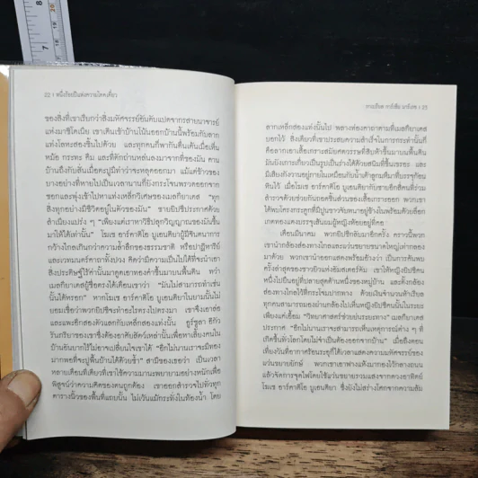 หนึ่งร้อยปีแห่งความโดดเดี่ยว - กาเบรียล การ์เซีย มาร์เกซ, ปณิธาน รูปที่ 9