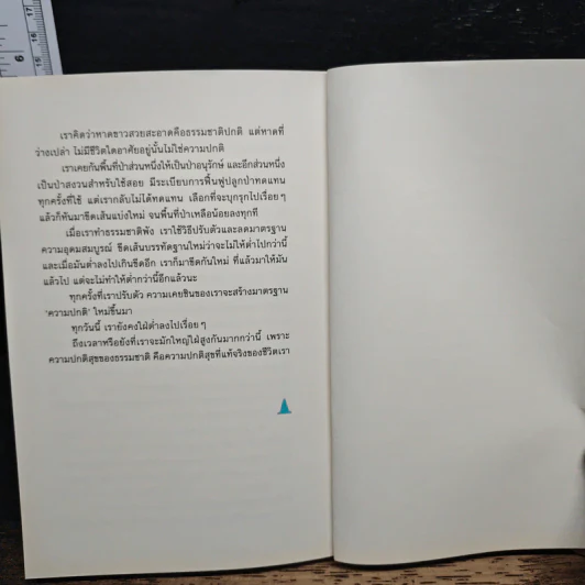 CITY SIGHT เมืองที่มองไม่เห็น - สรณรัชฎ์ กาญจนะวณิชย์ รูปที่ 8