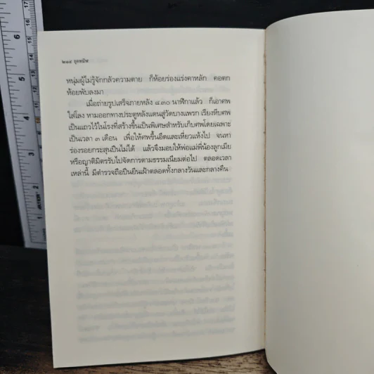 ยุคทมิฬ บันทึกนักโทษฝ่ายกบฏบวรเดช - พายัพ โรจนวิภาต รูปที่ 8