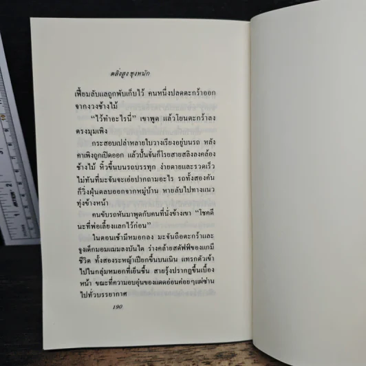 ตลิ่งสูง ชุงหนัก - นิคม รายยวา รูปที่ 8