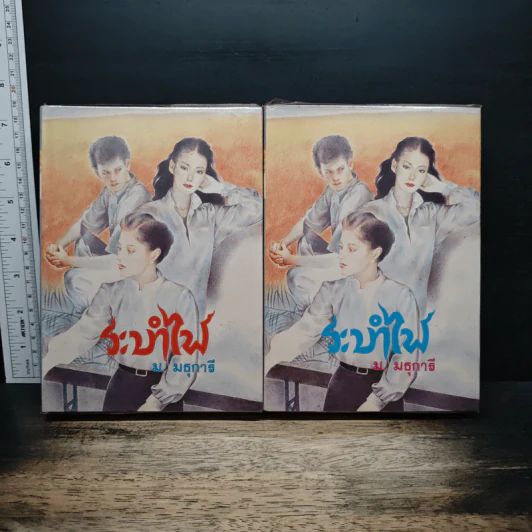 ระบำไฟ 2 เล่มจบ - ม.มธุการี รูปที่ 1