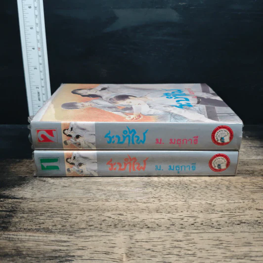 ระบำไฟ 2 เล่มจบ - ม.มธุการี รูปที่ 3